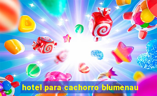 hotel para cachorro blumenau